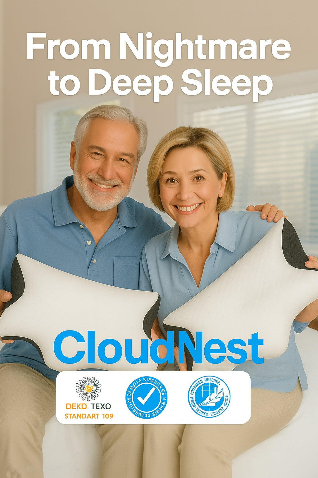 CloudNest Pillow 2.0