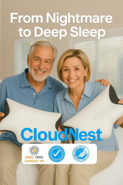 CloudNest Pillow 2.0
